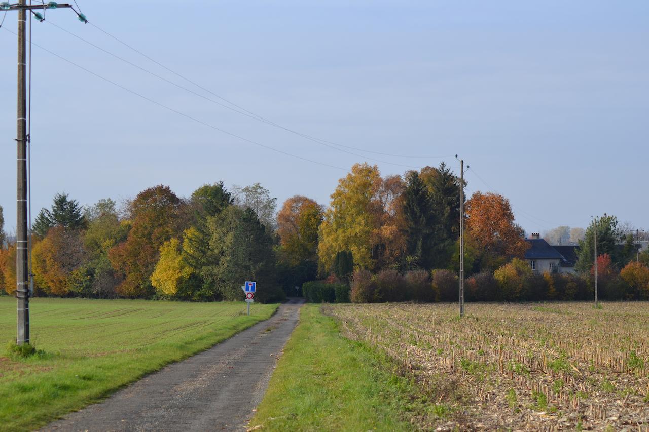 Domaine De Benveau Brécy Eksteriør billede